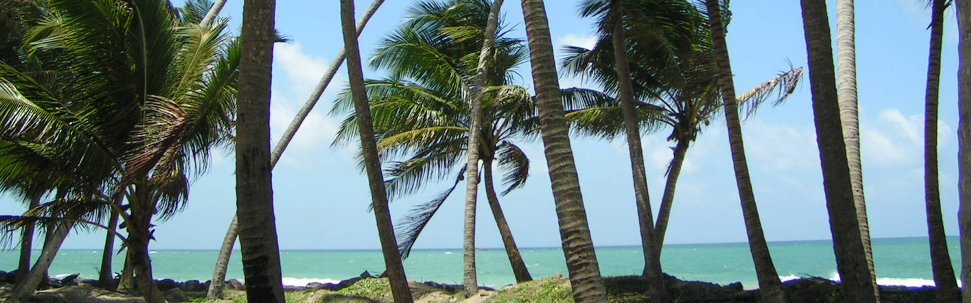 Beach, Sri Lanka Tourism